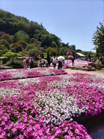 DSC_0520-e1684314637946